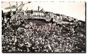 Saint Paul - View taken from flowering trees - Old Postcard