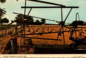 Michigan Berrien Center Hayfield Timeless Traditions Of Amish Life