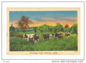 Cows in pasture, Greetings from Dumas,  Arkansas, PU-1942