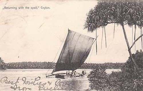 India Sea Ceylon Boat Ship Antique Rare 1905 Postcard