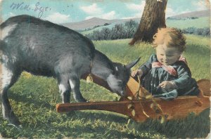 Children scene postcard 1903 baby & goat 