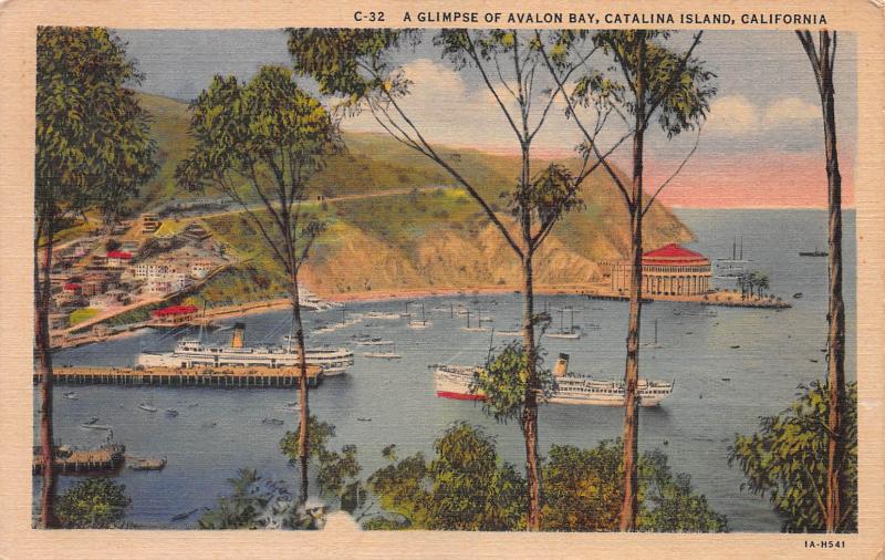 A Glimpse of Avalon Bay, Catalina Island, California, Early Postcard, Used