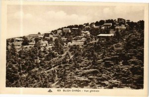 CPA AK Algérie-Blida Chréa-Vue générale (236866)