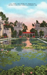 Vintage Postcard Lily Pond Most Photographed Beauty Spots In United States