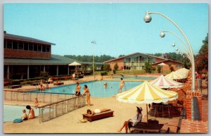 Williamsburg Virginia 1960s Postcard The Motor House Motel Swimming Pool