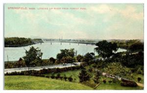 Early 1900s Looking Up the River from Forest Park, Springfield, MA Postcard