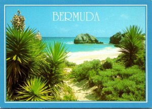 Bermuda Picturesque View Of South Shore Beaches