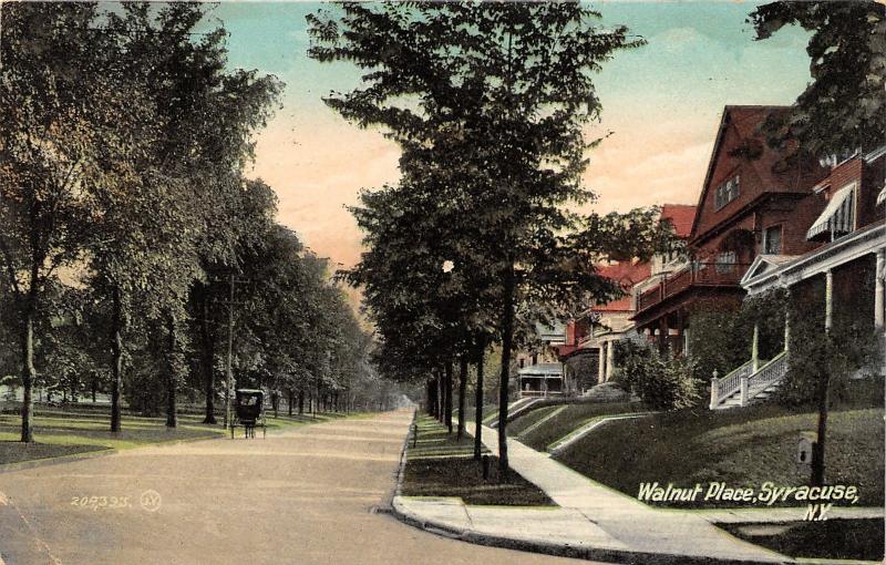 Syracuse New York~Walnut Place~Horse & Buggy in Street~Nice Homes~1908 Postcard