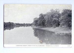 LP42  Yorkville, Illinois, IL, Postcard, View looking North 
