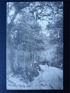 Surrey CATERHAM Waller Lane c1905 Postcard by Frith