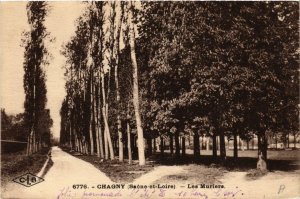 CPA CHAGNY Les Muriers (649508)