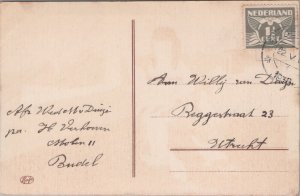 Cinderella Feeds the Pigeons Vintage Postcard C202