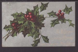 A Merry Christmas,Holly Postcard