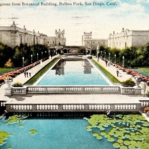 Balboa Park San Diego Postcard California c1940s Lagoon Botanical PCBG9A