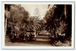 c1930's Entrance to the Casino Pavao Madeira Portugal RPPC Photo Postcard