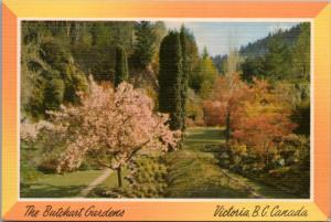 Butchart Gardens Victoria  BC British Columbia Unused Vintage Linen Postcard D41