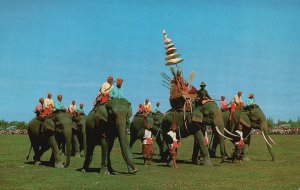 Vintage Postcard 1968 War Elephant Animal Parade at Surin Thailand TH