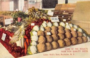 Rochester New York Produce Vegetable Vicks Sons Antique Postcard K32555