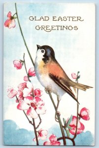 Easter Postcard Greetings Bird And Pink Flowers Embossed c1910's Posted Antique