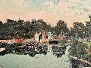 Postcard 1907 Hand Tinted View of Lilly Pond, Bell Isle, MI   W2