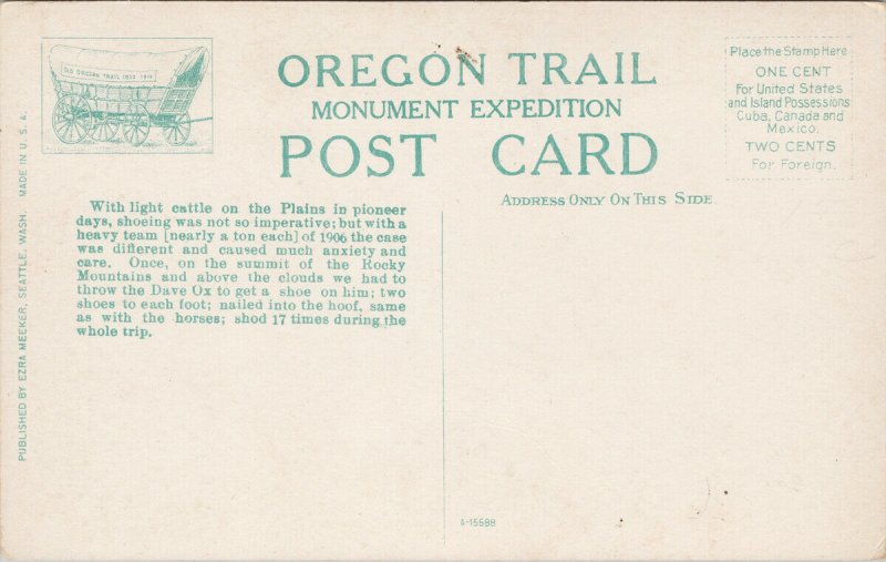 Shoeing Oxen Seattle WA 1906 Oregon Trail Monument Expedition Postcard F21 