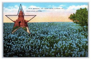 Blue Bonnets Texas State Flower Capitol Inset  UNP Linen Postcard N18