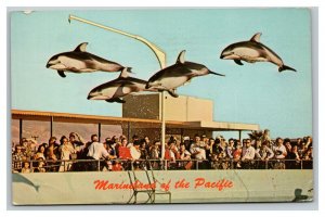 Vintage 1967 Postcard High Flying Dolphins Marineland of the Pacific California