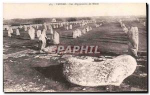 Old Postcard Dolmen Menhir Carnac Menec alignments