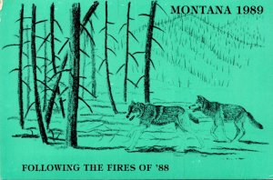 Montana 1989 Fllowing The Fires Bring Back The Wolves