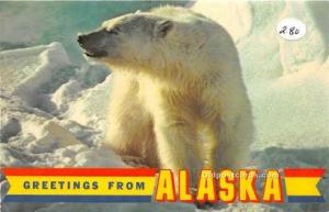 Bear Greetings from Alaska 1984 