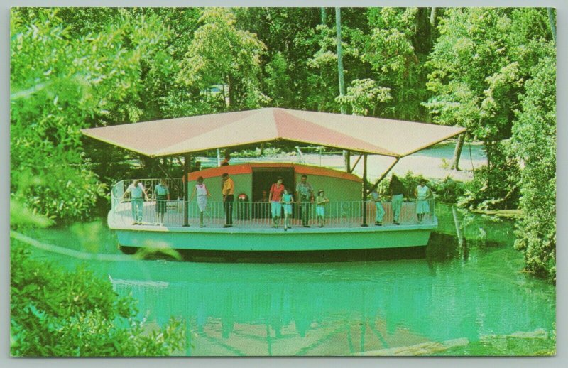 Homosassa Springs Florida~Nature's Fishbowl Spring~Floating Observatory~1960s 