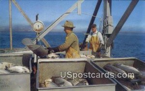 Unloading Salmon - Misc, Washington WA  