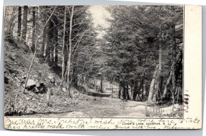 Postcard NJ Boonton - Lovers Lane 1906