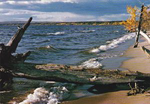 Canada Beach Scene Lesser Slave Lake Alberta