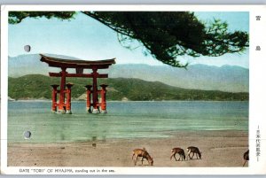 Gate Torii Of Miyajima Standing Out In The Sea Japan Postcard