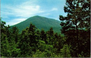 Vtg Chatsworth Georgia GA Fort Mountain State Park View Postcard