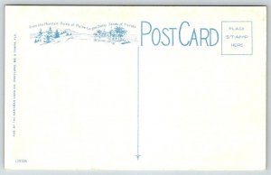 Vintage Florida Postcard - Ringling Brothers  Sarasota