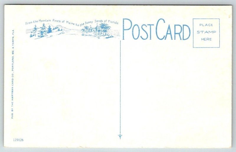 Vintage Florida Postcard - Ringling Brothers  Sarasota