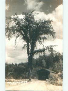 Pre-1945 rppc NICE VIEW Stowe - Near Burlington Vermont VT i5716