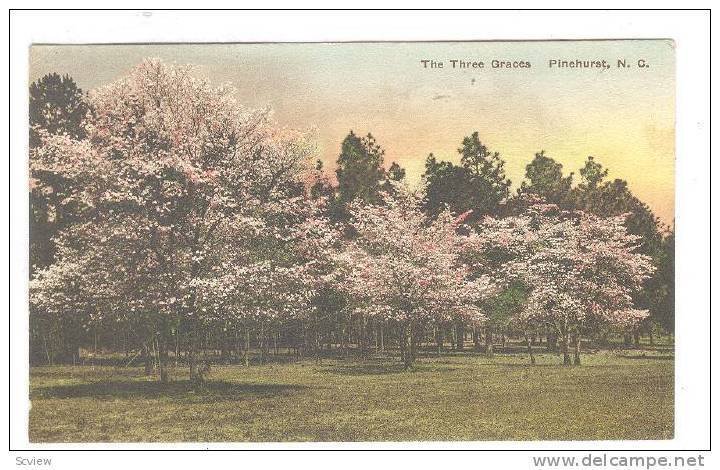 The Three Graces, Pinehurst, North Carolina, 1900-1910s