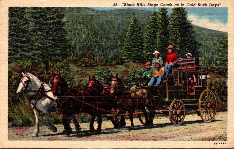 South Dakota Black Hills Stage Coach As In Gold Rush Days 1950 Curteich