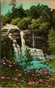 Peterskill Falls Lake Minnewaska New York NY Hand Colored Albertype Postcard A5