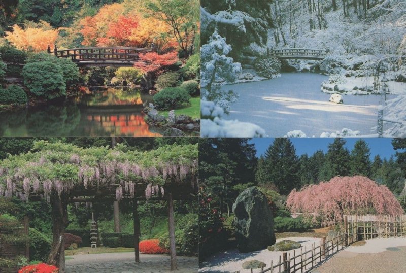Oregon Japanese Gardens Winter Snow USA 4x Postcard s