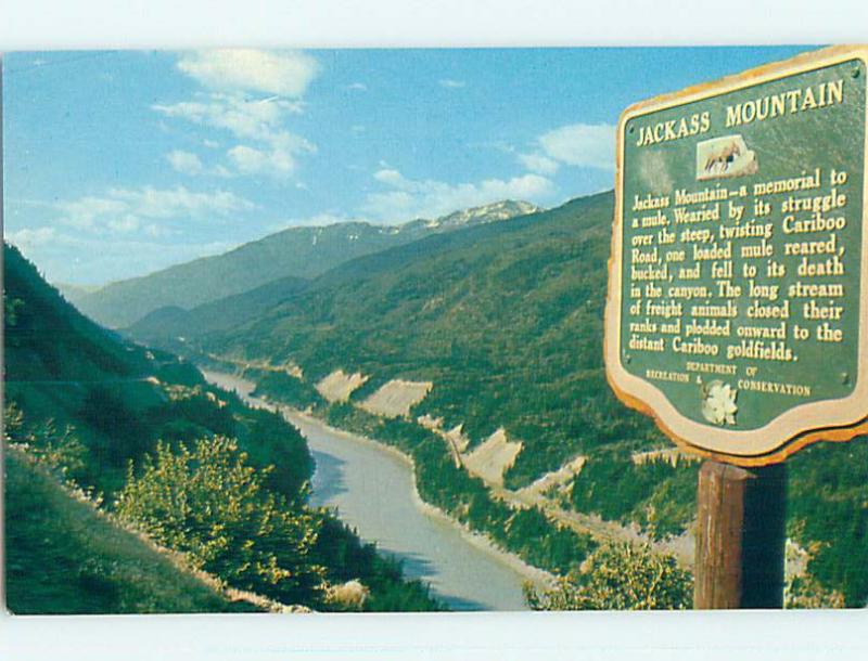 Unused Pre-1980 TOWN VIEW SCENE Fraser Canyon British Columbia BC p8898