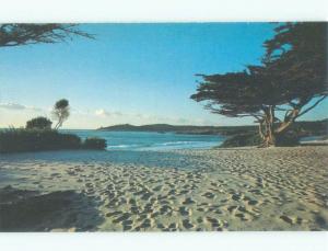 Unused Pre-1980 BEACH SCENE Carmel California CA d6359