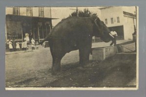 Aledo ILLINOIS RPPC 1919 CIRCUS PARADE Main Street ELEPHANT DRINKING Water