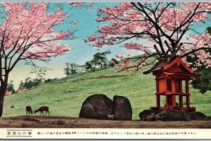 VINTAGE POSTCARD ANIMALS CHERRY BLOSSOM TREES BIRD FEEDING BOX HILL JAPAN