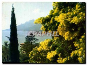 Postcard Modern Gorges du Loup Gourdon