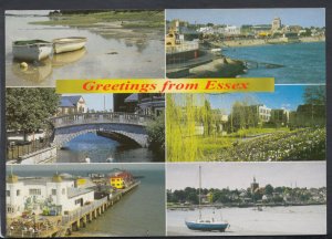 Essex Postcard - Greetings From Essex - Posted  RR4737