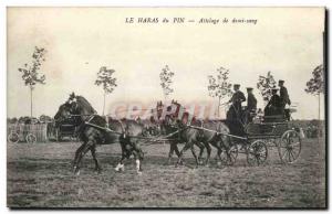 The Haras du Pin Old Postcard blood half hitch (horses horse horse)